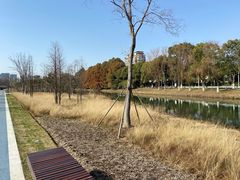 -昆山城市生态森林公园