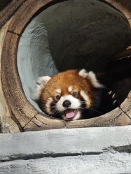 -Zoolung Zoolung动物主题公园(海信广场店)