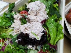 -Tubestation站点比萨(五道营店)