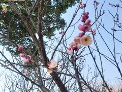 -无锡梅园公园
