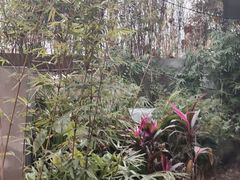 -山地居烤全羊·柴火鸡(大坪-半山公馆店)