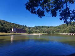 -武陵山森林公园