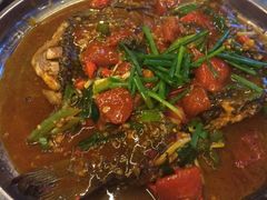 -鲜榨果汁·啤酒鱼(环岛河店)