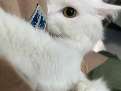 -北京恒爱动物医院(清景园分院)