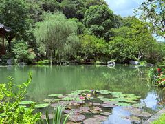 -云溪植物园