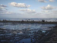 -南汇新城海滩