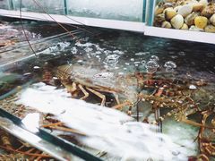 -班赞海鲜市场