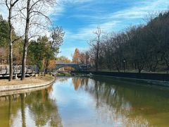 -白水寺森林公园