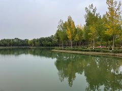-香山公园