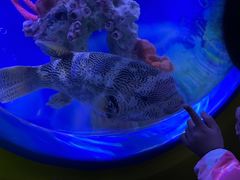 -上海海昌海洋公园