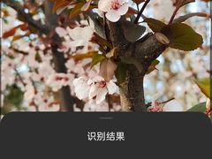 -西安世博园