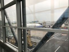 -厦门高崎国际机场-T3航站楼