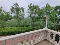 -北京张裕爱斐堡酒庄