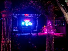 -枫花园汽车电影院(朝阳公园店)