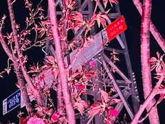 -西北湖绿化广场