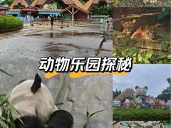 -深圳野生动物园