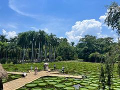 -中国科学院西双版纳热带植物园