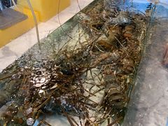 -漳州佰翔圆山酒店·圆山畔西餐厅