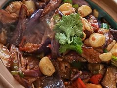 -普天和酒楼·新津菜·烤鸭(天津之眼店)