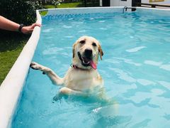 -太阳岛度假酒店