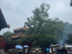 -北京国子监胡同