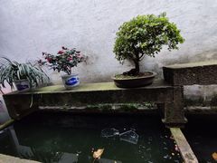 -绍兴鲁迅故里·沈园景区