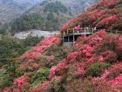 -木兰云雾山