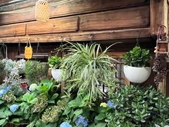 -龙姐私房菜(和顺古镇店)