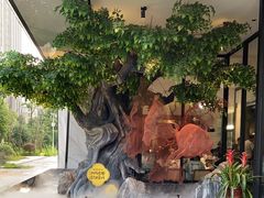 -院里寻菜·精致庭院菜(观沙岭店)