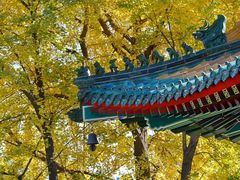 -香山公园