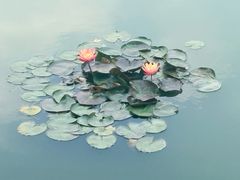 -丝绸小镇荻港古村