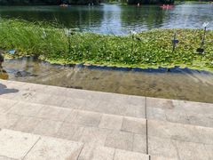 -新江湾城公园