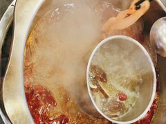 -金鼎雪山牦牛杂火锅(理县总店)