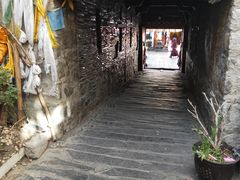 -古树酸奶(八廓南街店)