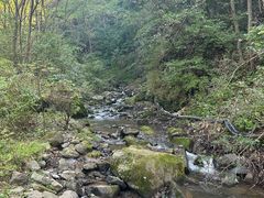 -黄椅山火山森林公园