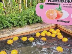 -深业半汤御泉庄温泉