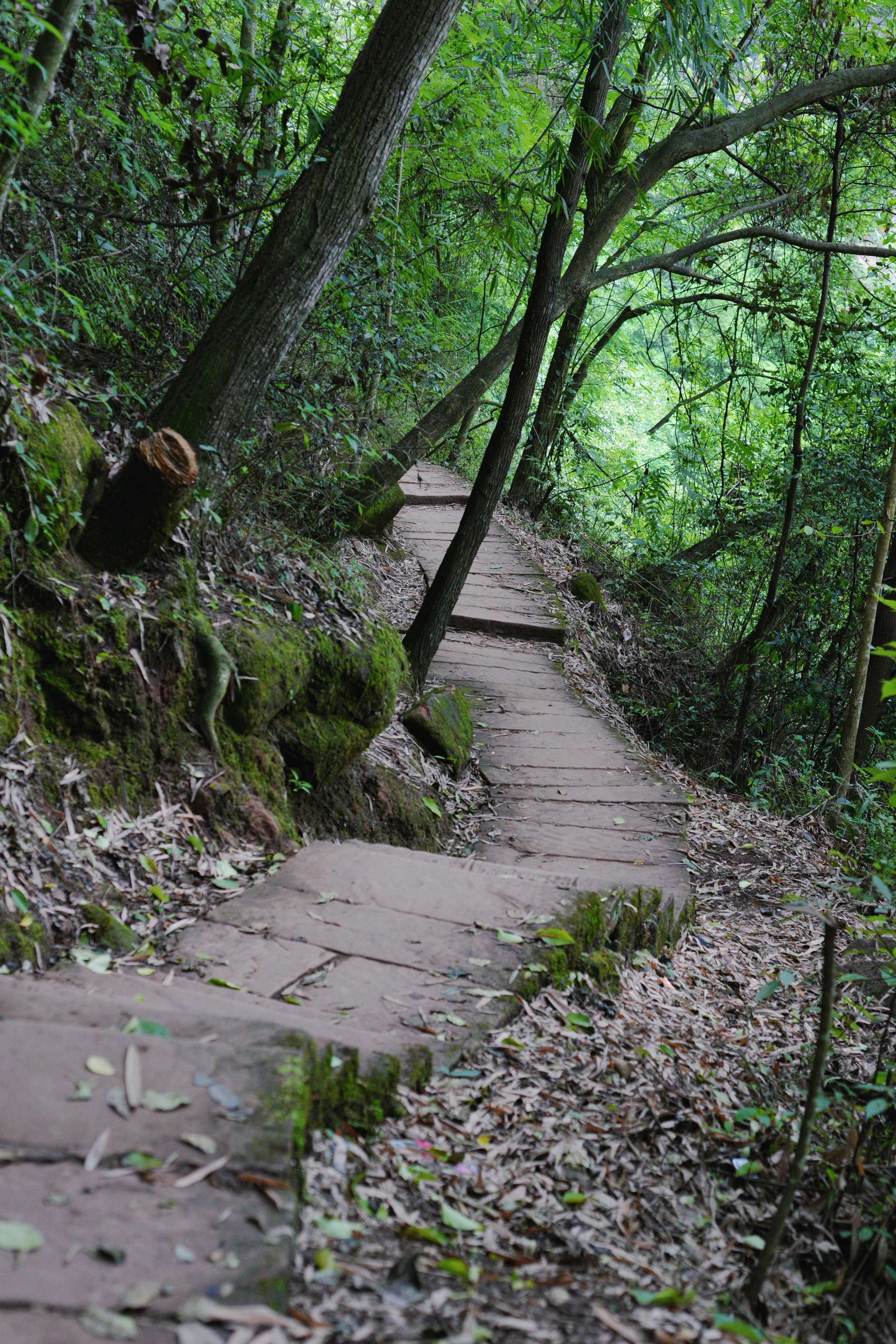 大邑药师岩风景区图片