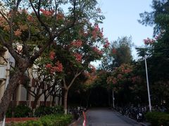 -厦门大学(思明校区)