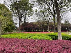-石湖景区