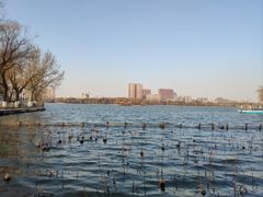 -济南大明湖景区