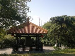 -太子山公园(园东路)
