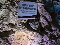-周口店北京人遗址公园