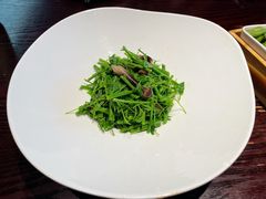 辣木苗拌鸡纵菌-永安鱼庄·镇江菜(东吴路店)