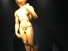 -成都泰迪熊博物馆