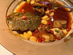 -洞庭家宴·头牌甲鱼(广渠门店)