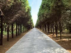 -秦始皇帝陵博物院(兵马俑)
