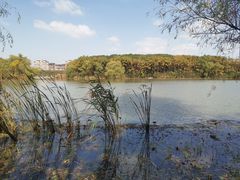 -昆山城市生态森林公园