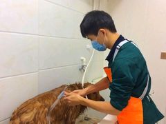 -瑞派康怡24h宠物医院·犬猫医疗中心·微创绝育(瑞景分院)