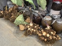 -大灶头·新昌菜(中国茶市店)