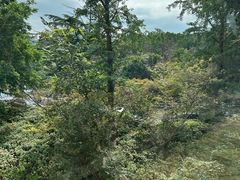 -四季轩中餐厅(徐州开元名都大酒店)